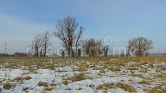 田野里绿草如茵白雪皑皑远离了俄罗斯枯死的户外树木冬天的安定下来视频的预览图