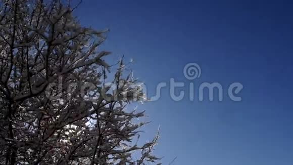 太阳融化雪时间流逝视频的预览图