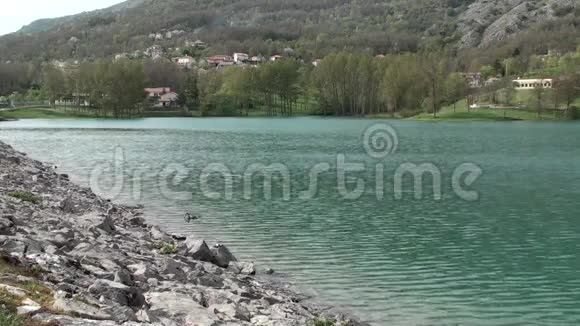 意大利莫利塞省伊塞尼亚的卡迪托小镇湖视频的预览图