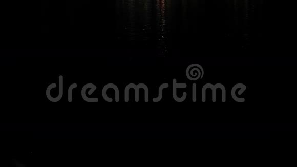 乌迪普尔湖宫夜景视频的预览图