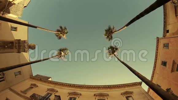 意大利塔伦托市街道上的棕榈树视频的预览图