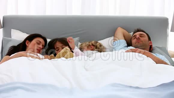 可爱的一家人睡在一起视频的预览图