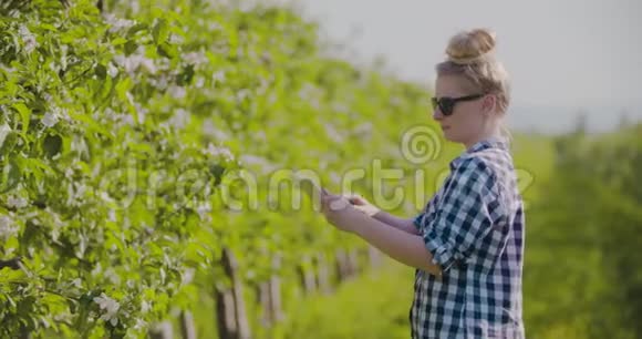 果园中农学家或农学家检查花枝视频的预览图