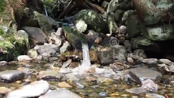 从木管喷泉水池流出的水视频的预览图
