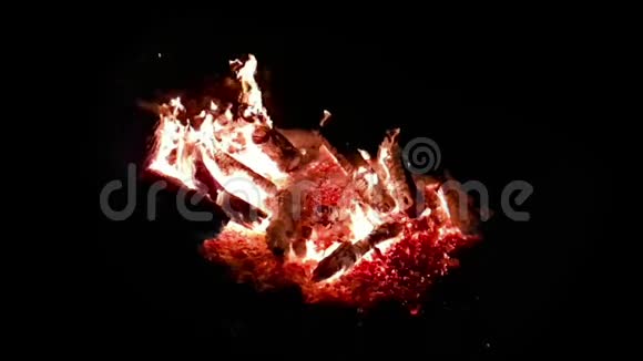 真正的火焰燃烧着黑色背景上的树枝视频的预览图