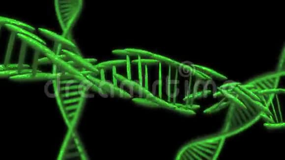 动画DNA链绿色DNA慢速运动3D动画视频的预览图