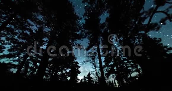 森林街上的夜空视频的预览图