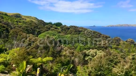 新西兰陶泊湾北部的鸟瞰图视频的预览图