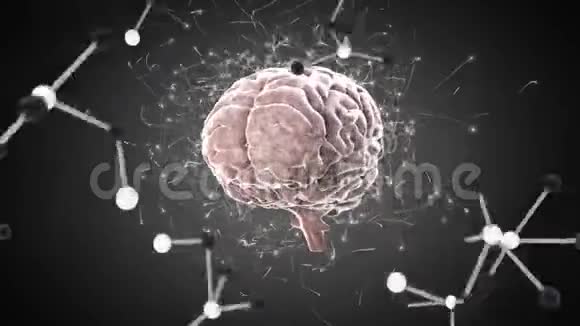 大脑和分子的数字动画视频的预览图
