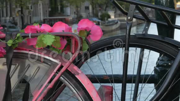 阿姆斯特丹自行车上的粉红色花视频的预览图
