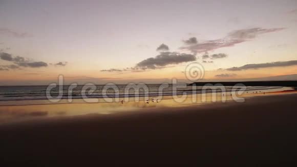 海景的美丽日落视频的预览图