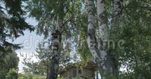 爱沙尼亚卡斯木小房子周围的树木FS7004KRAW奥德赛7Q视频的预览图