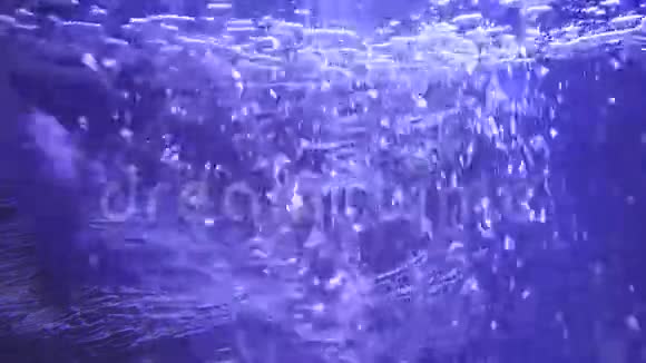 海洋水族馆鱼群水下气泡背景视频视频的预览图