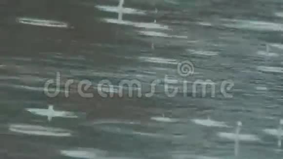 雨滴在水坑里视频的预览图