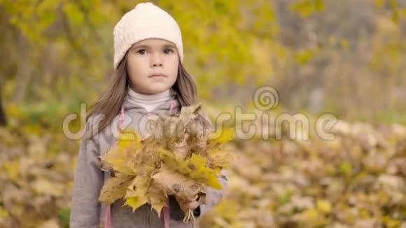带着一束秋叶的小女孩视频的预览图