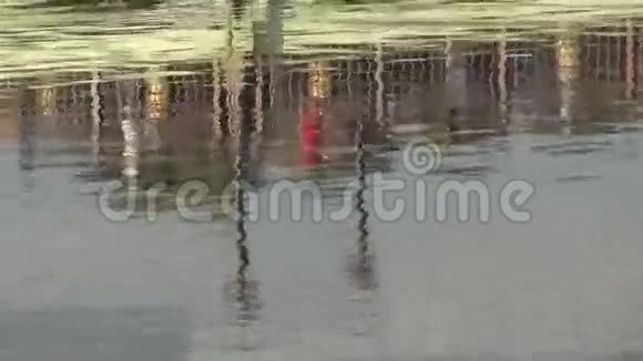 人们在水里的倒影视频的预览图
