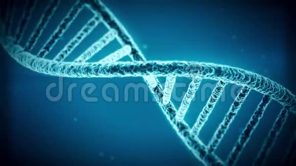 旋转DNA的三维动画视频的预览图