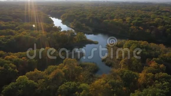 秋天的森林湖视频的预览图