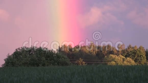 农田植物和天空中的彩虹放大视频的预览图