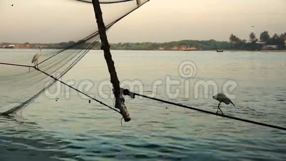 印度科钦中国渔船和渔网日出视频的预览图