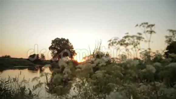 乡村的夏日日落自然视频的预览图