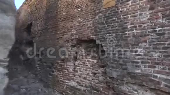 波纳里堡垒视频的预览图