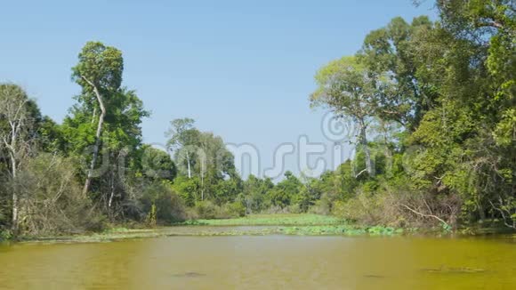 典型的池塘在炎热的旱季柬埔寨视频的预览图