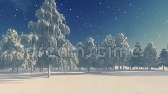 白色圣诞节的树木和柱灯视频的预览图