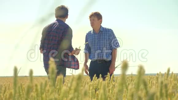 老二农夏时握手麦田里跑麦面包慢动作视频农民生态视频的预览图