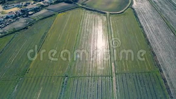 飞越稻田上空视频的预览图