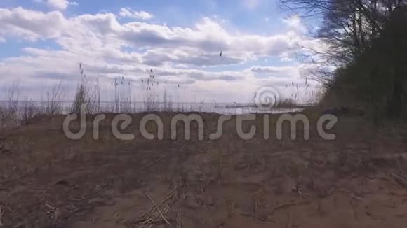 斯塔迪加姆拍摄的湖岸海滩视频的预览图