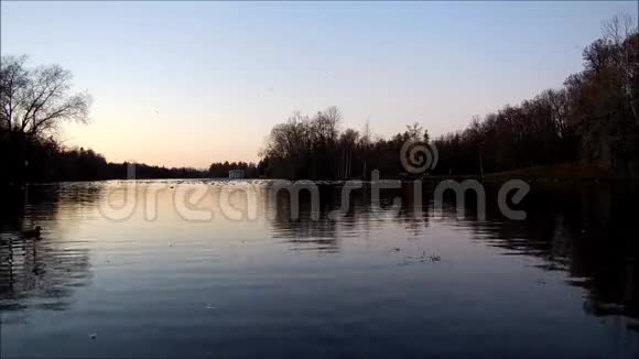 加奇纳公园湖上的火葬视频的预览图