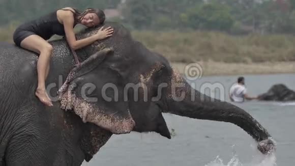 女孩给大象洗澡视频的预览图