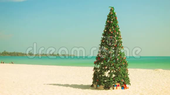 热带海滩上的圣诞树视频的预览图