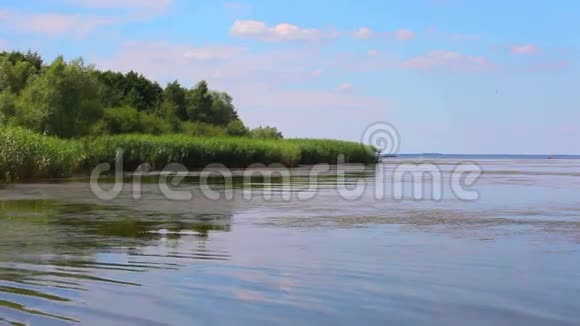 波兰夏季的湖视频的预览图