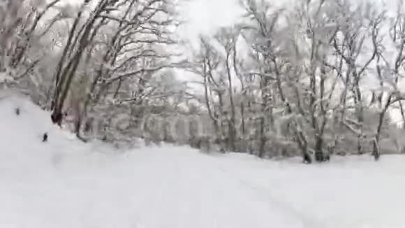 雪后穿过森林的冬季道路视频的预览图