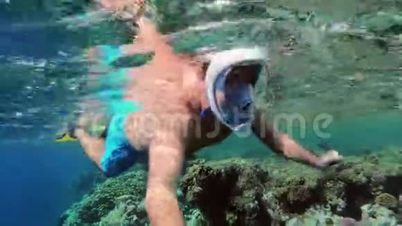 人在浅水中浮潜珊瑚鱼视频的预览图