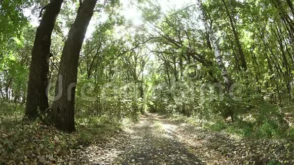 在森林里的路上散步的少女视频的预览图