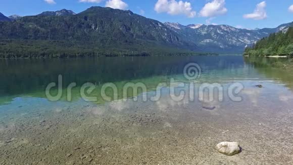 早上令人惊叹的博欣吉湖深邃清澈的水与鱼和华丽的景观朱利安阿尔卑斯山特里格拉夫国家公园视频的预览图
