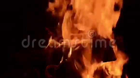 慵懒的小火燃烧视频的预览图