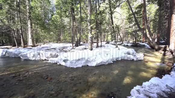 约塞米蒂国家公园有雪和森林的Merced河视频的预览图