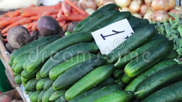 市场柜台上摆放着美味的新鲜黄瓜西红柿和其他带有价格标签的蔬菜视频的预览图