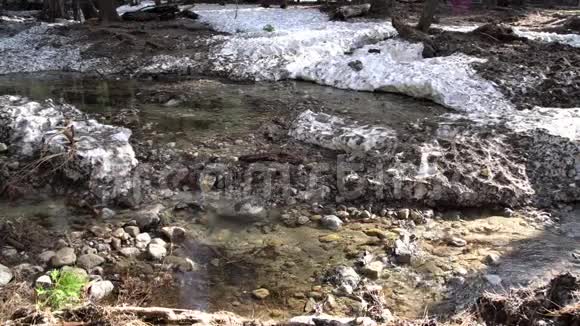 约塞米蒂国家公园有雪和森林的Merced河视频的预览图