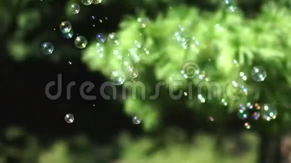 很多小而大的多色泡泡鼓风机肥皂泡显示视频的预览图