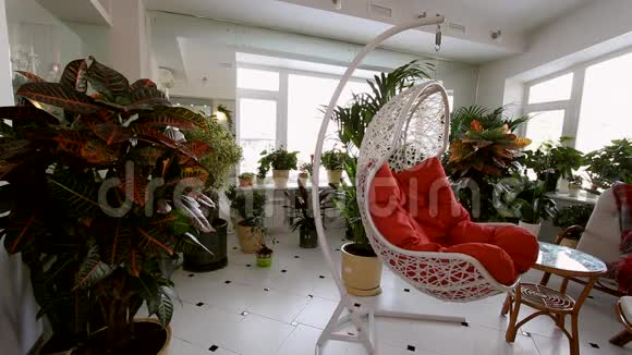豪华公寓内部的红岩椅视频的预览图