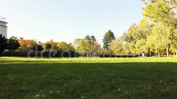 秋天在公园里天文台视频的预览图
