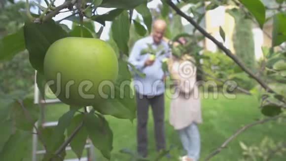苹果公司的背景是一对成熟的夫妇视频的预览图