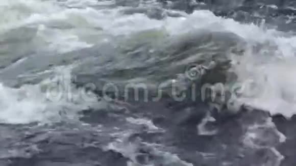 山区降雨后快速流动的河流视频的预览图