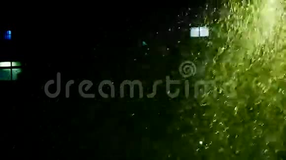 灯光下的雪花漂移窗户粒子艺术视频的预览图