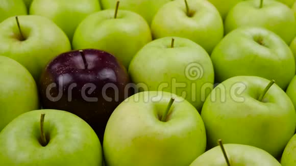 苹果新鲜的自然背景天然苹果从树上收获杂货店果蔬部视频的预览图